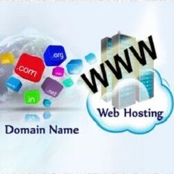 d. Memahami Domain dan Hosting
